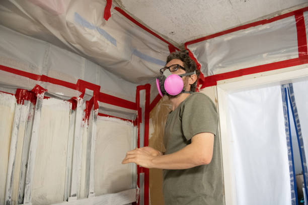 Best Forensic Mold Investigation  in Brewster, OH